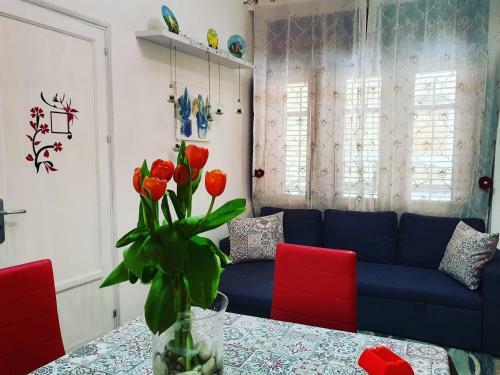 Apartamento Nabucco