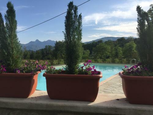 Apartamento Monnalisa