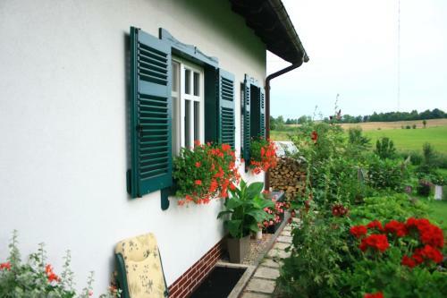 Bed & Breakfast Zielone Okiennice
