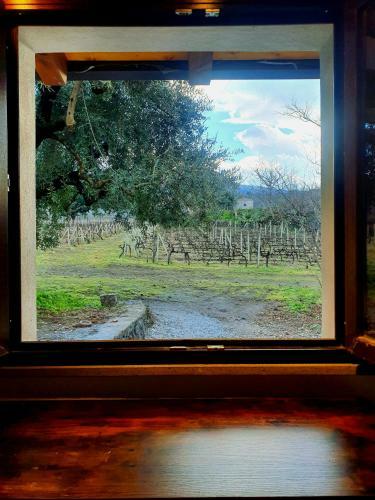 Finestra Sul Vigneto