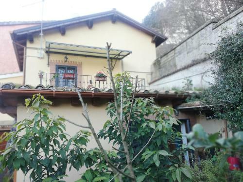 Il Pettirosso