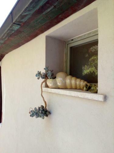 Ca Dell'acciuga