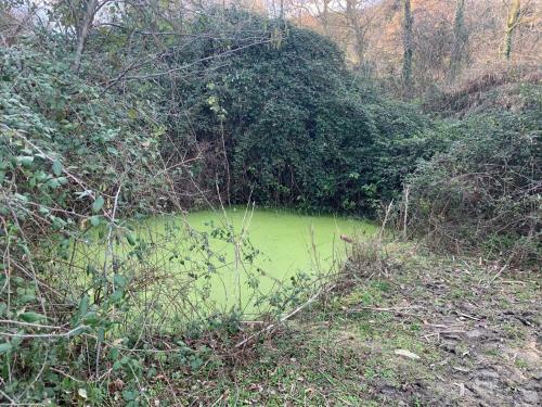 Le Casette In Collina