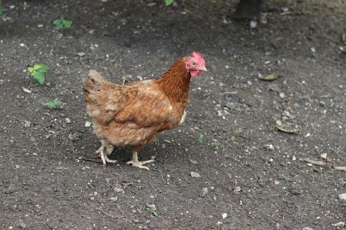 Le Casette In Collina