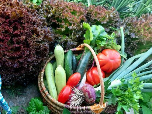 La Maison De Joanna 2