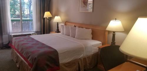 Hotel Ramada Inn And Conference Center