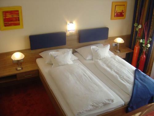 Hotel Lenauhof