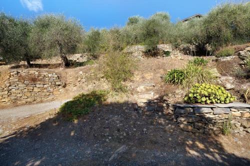 Apartamento Immerso Nel Verde