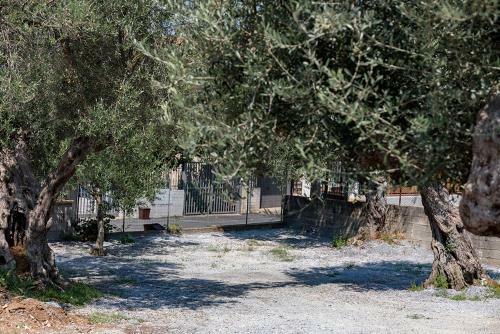 B&B Il Feudo