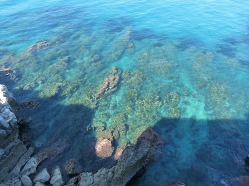 Apartamento Casalmare