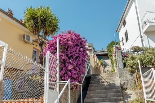 Apartman Stari Grad 2