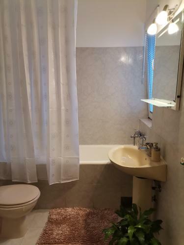 Serendipity Apartment