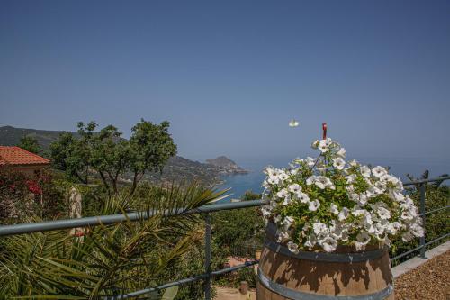 Cefal� Nest Pool House Terrace Sea View