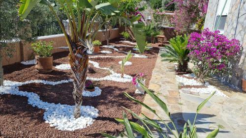 Bed & Breakfast Camelia Villa
