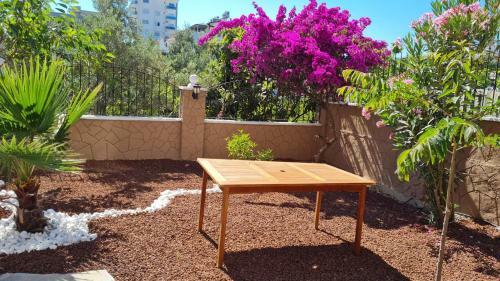 Bed & Breakfast Camelia Villa