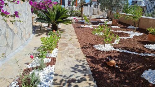 Bed & Breakfast Camelia Villa