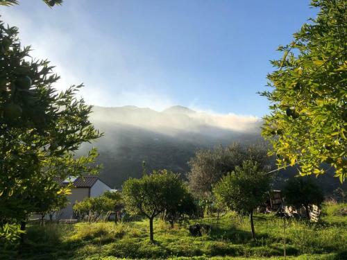 Charming 1-bed Cottage In Cefalu Sicily Italy