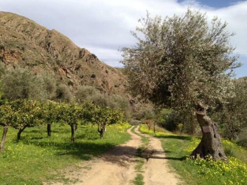 Charming 1-bed Cottage In Cefalu Sicily Italy