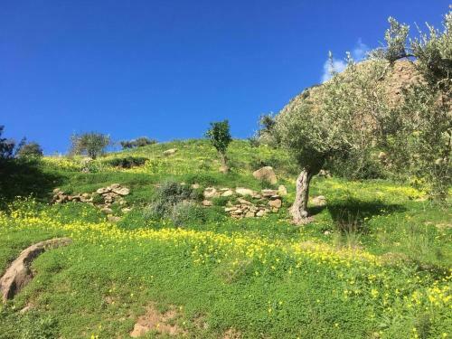 Charming 1-bed Cottage In Cefalu Sicily Italy