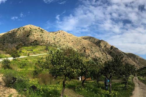 Charming 1-bed Cottage In Cefalu Sicily Italy
