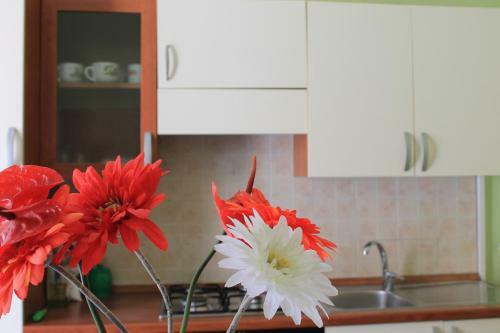 Adelfes Apartments