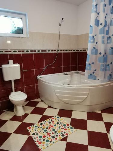 Hostal Pensiunea Hora