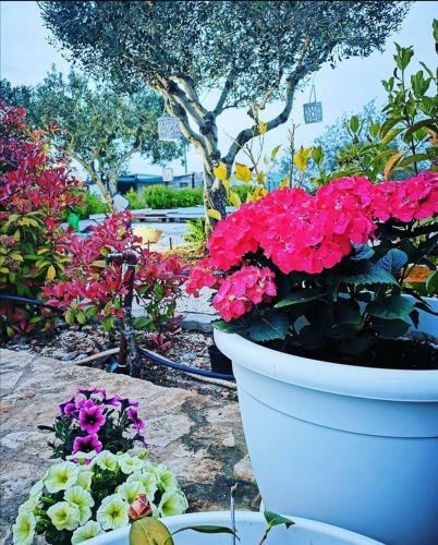 Hostal Trullo Suite