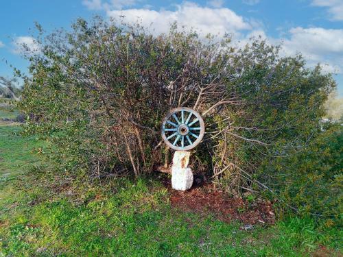 Locazione Turistica Trullo Rosa Blu
