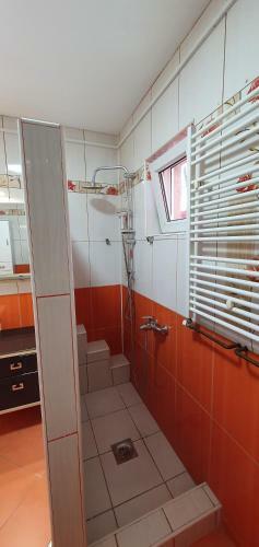 Apartman Negotin