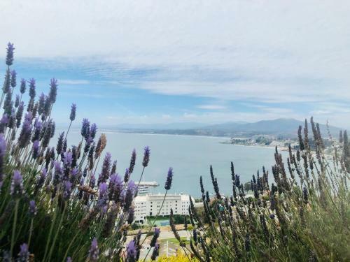 Apartamento Departamento En Costas de Montemar Con Con