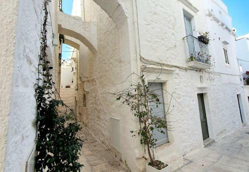 Beautiful Garden Apartment In Cisternino