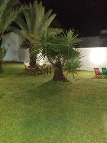 Villa Alfea