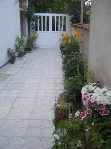 Hostal Salmina House