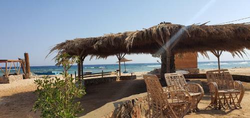 Hotel Diana Beach Camp
