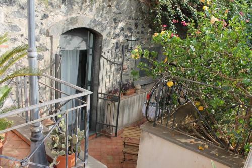 Apartamento Bouganville