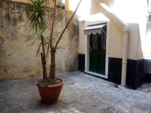 Apartamento Studio 177