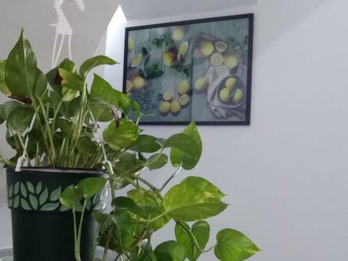 Apartamento Tourist House La Castellana
