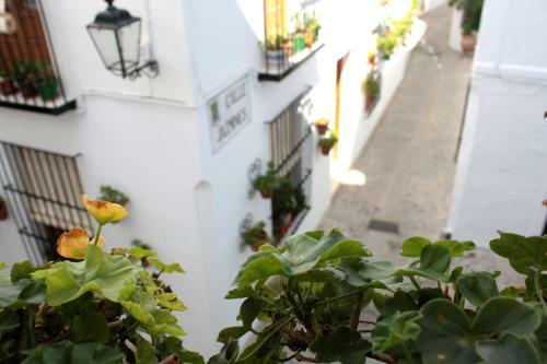 Casa Del Rey