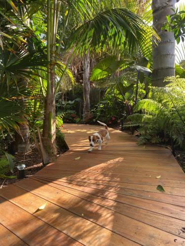 Bed & Breakfast Palm Garden Papamoa Beach Paradise