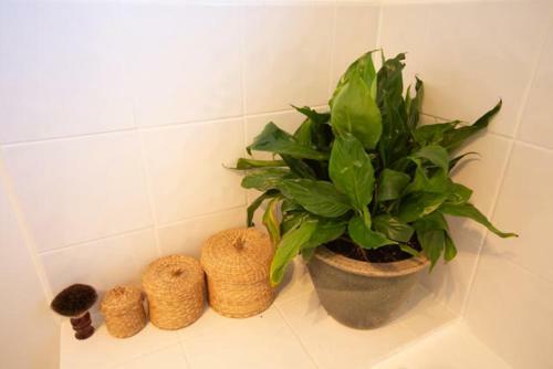 Bed & Breakfast Palm Garden Papamoa Beach Paradise