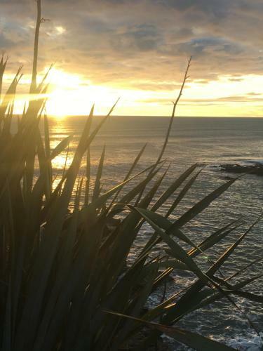 Lodge Punakaiki Treehouse