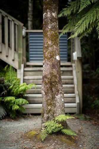 Lodge Punakaiki Treehouse