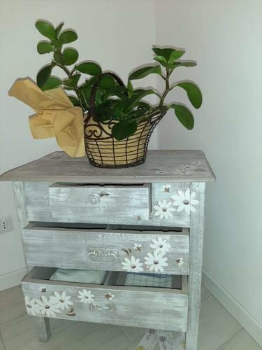 Apartamento Il Cortile