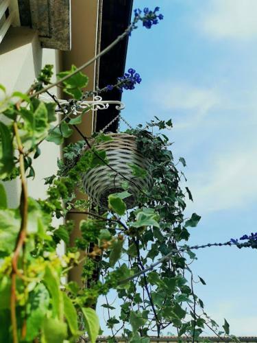 Apartamento Il Cortile