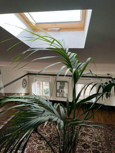 Apartamento Finestre Con Vista