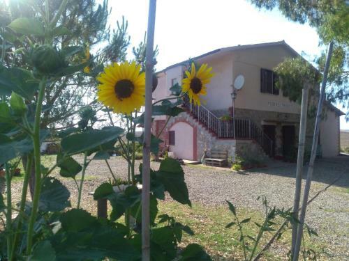 Agroturismo Enjoy Sunset