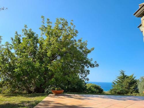 Villa Del Carrubo A Due Passi Dal Mare Di Cefal�