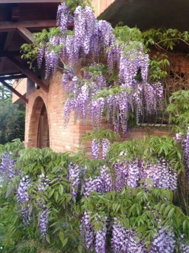 Il Filo Di Arianna Cottage Di Campagna