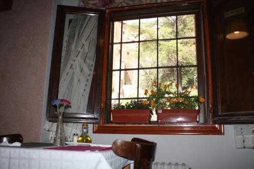 Hotel Mes�n Del Gallo