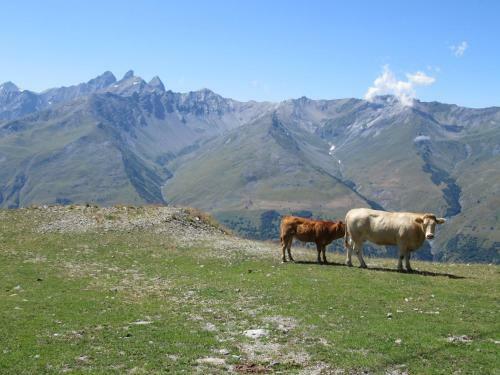 Hotel Aiguille Noire